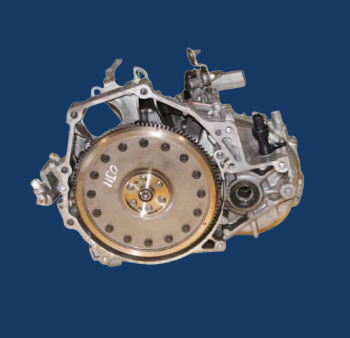 transm1-Picsart-BackgroundChanger